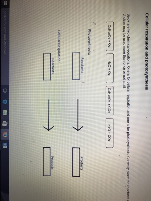 Solved Cellular Respiration And Photosynthesis Below Are Chegg Com