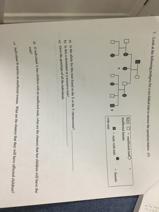 Solved 7 Look At The Following Pedigree For A Sex Linked Chegg Com