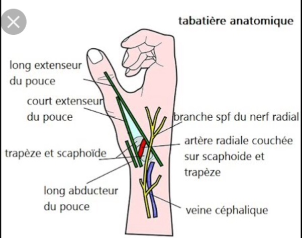 Caldwell DFT 2 Laisse r/églable Ambidextre Recul R/éducteur de Fusil Repose-tir pour ext/érieur