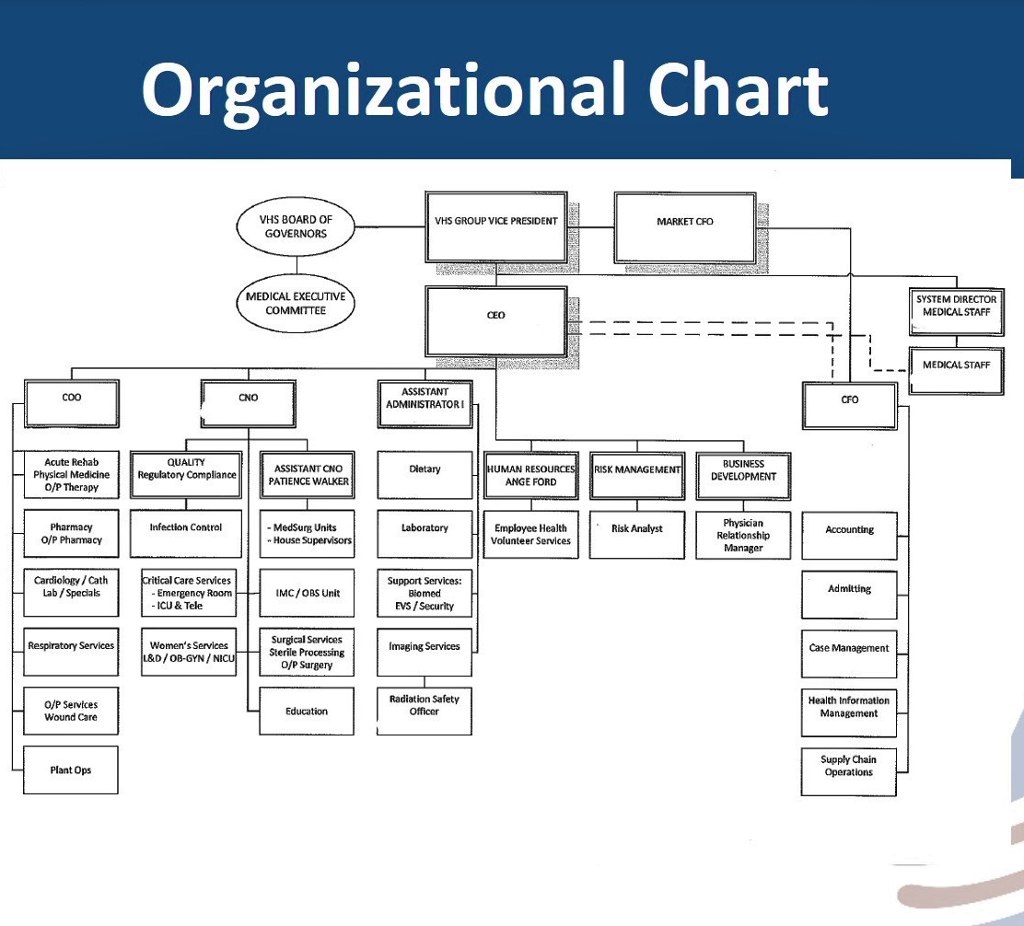 Business Development Org Chart
