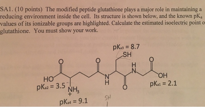 glutathione pka Glutathione-Thiyl Radical Scavenging and Transferase Properties of Human  Glutaredoxin (Thioltransferase): POTENTIAL ROLE IN REDOX SIGNAL  TRANSDUCTION main image 1