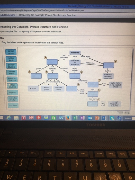 Can You Complete This Concept Map About Protein Structure And Function? Solved: Https//session Com/myct/itemView? ProblemiD 939744 