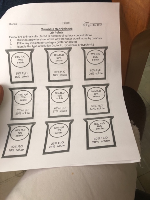 animal names worksheet Biology Osmosis Names: Croft Wo Mr. Date:  Solved: Period