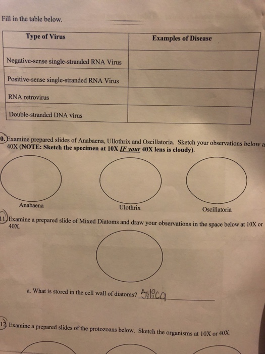 Fill In The Table Below Type Of Virus Examples Of Chegg Com