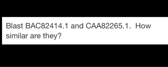 Blast BAC82414.1 and CAA82265.1. How similar are they?