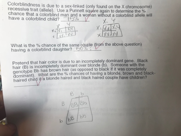 Solved Colorblindness Is Due To A Sex Linked Only Found