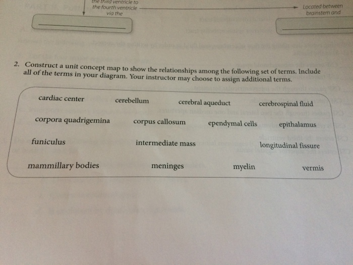 Construct A Concept Map That Includes The Following Terms Solved: Construct A Unit Concept Map To Show The Relations 