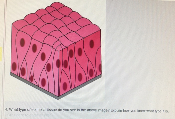 Solved Exam Page 2 1. Which Of The Following Statements Is | Chegg.com