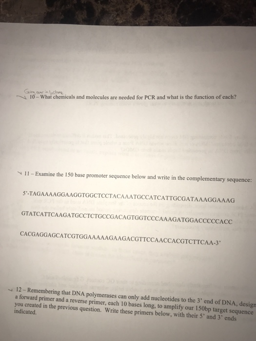 Grin onr in lecture 10-What chemicals and molecules are needed for PCR and what is the function of each? 11-Examine the 150 base promoter sequence below and write in the complementary sequence 5-TAGAAAAGGAAGGTGGCTCCTACAAATGCCATCATTGCGATAAAGGAAAG GTATCATTCAAGATGCCTCTGCCGACAGTGGTCCCAAAGATGGACCCCCACC CACGAGGAGCATCGTGGAAAAAGAAGACGTTCCAACCACGTCTTCAA-3 12-Remembering that DNA polymerases can only add nucleotides to the 3 end of DNA, design a forward primer and a reverse primer, each 10 bases long, to amplify our 150bp target sequence you created in the previous question. Write these primers below, with their 5 and 3 ends indicated.
