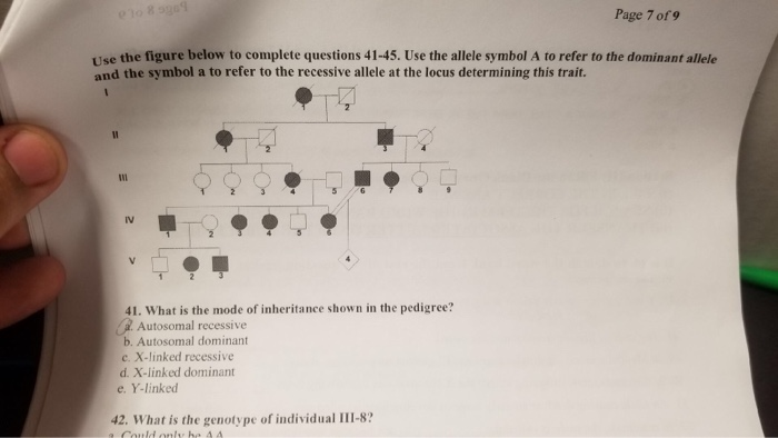 Solved 42 What Is The Genotype Of Individual 111 8 A Co Chegg Com