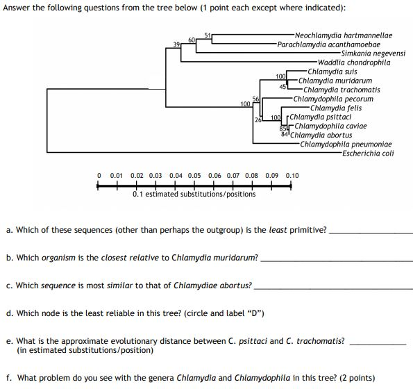 Solved Answer The Following Questions From The Tree Below Chegg Com