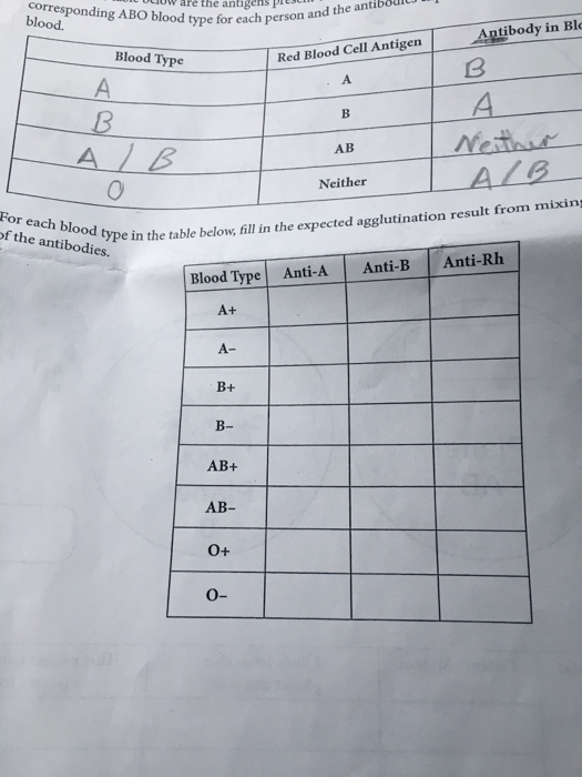 For Each Of The Blood Type In The Table Below Fill Chegg Com