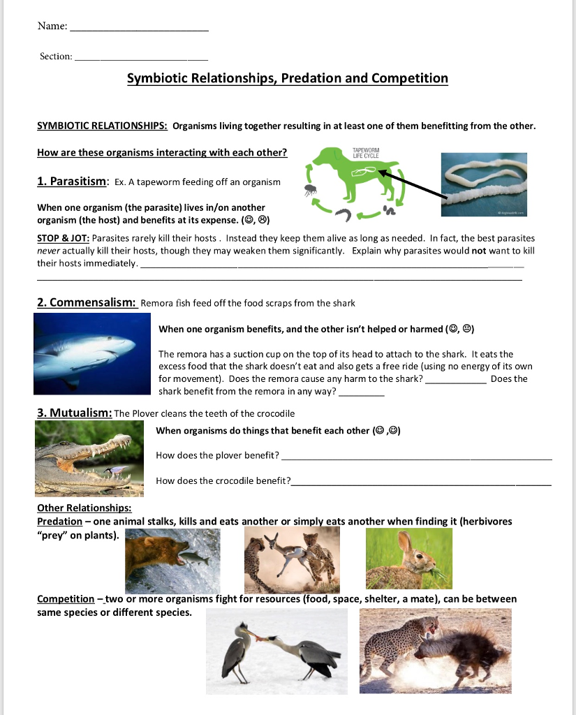 Solved Name: Section: Symbiotic Relationships, Predation and 