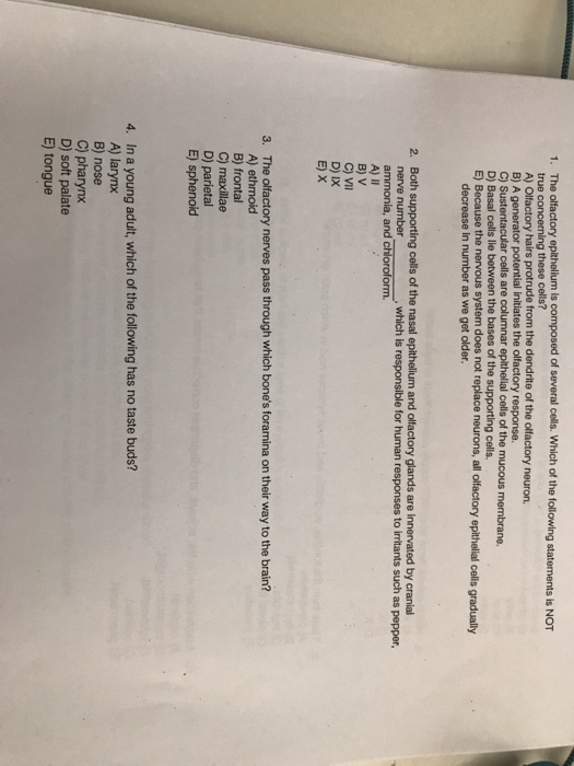 Anatomy And Physiology Archive May 07, 2018