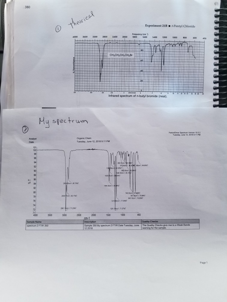 Essay about experiment 13 synthesis of 1bromobutane 03 image
