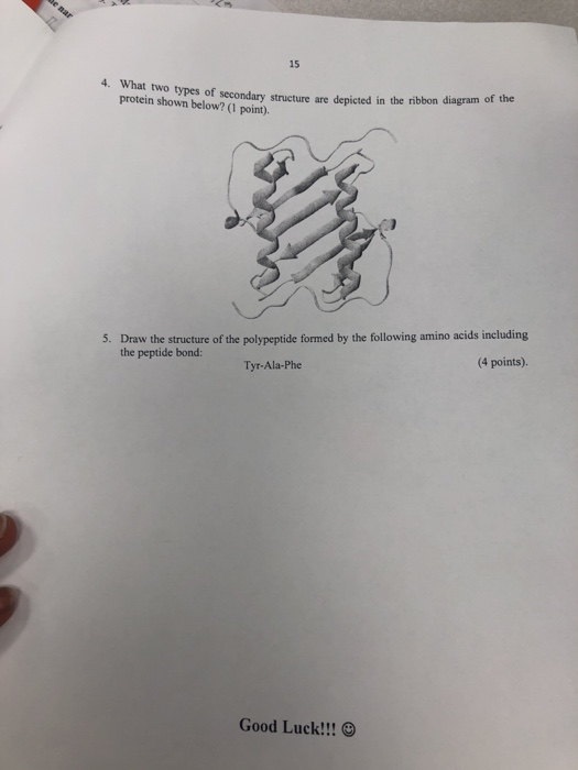 Solved 15 4 What Two Types Of Secondary Structure Are De