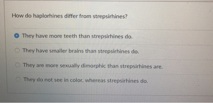 Solved How Do Haplorhines Differ From Strepsirhines? O Th