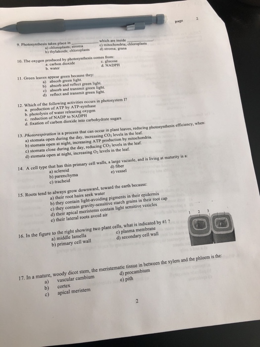 Solved Page 9 Photosynthesis Takes Place In Which Are In Chegg Com