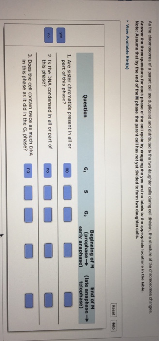 As The Of A Parent Cell Are Duplicated And Chegg Com