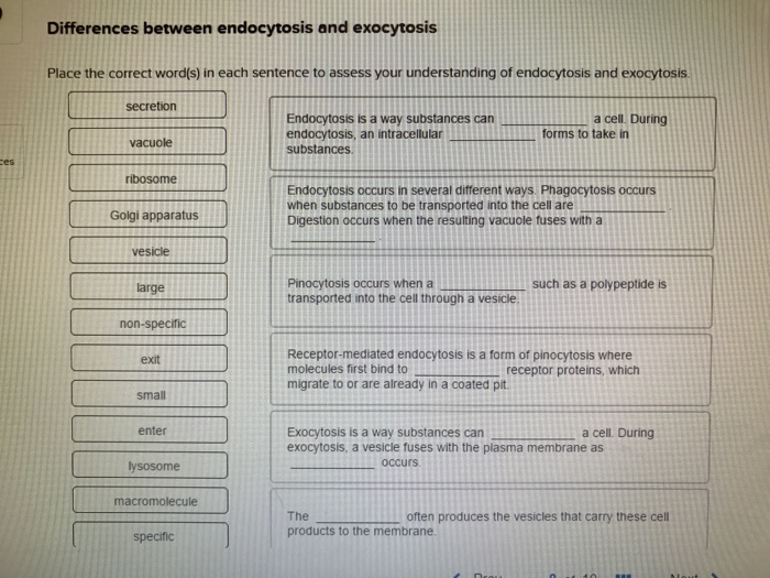Solved Place The Correct Word S In Each Sentence To Assess Chegg Com
