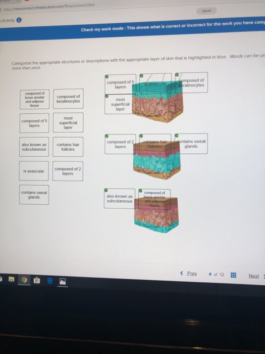 Solved: Please Note This Is Answered On Chegg More Than On ...