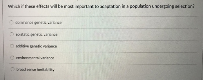 Which if these effects will be most important to adaptation in a population undergoing selection? dominance genetic variance O epistatic genetic variance Oadditive genetic variance O environmental variance broad sense heritability