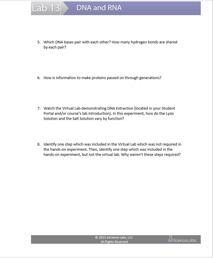 solved ab 13dna and rna xperiment 3