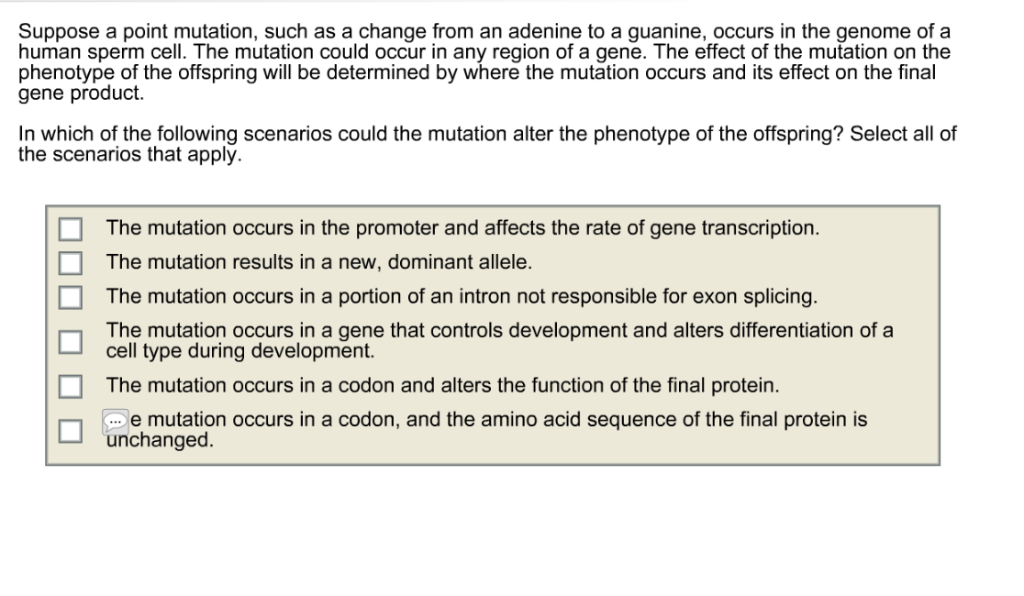 Solved Suppose A Point Mutation Such As A Change From An Chegg Com