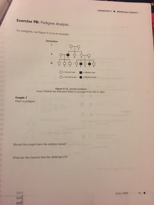 Solved Laboratory 9 Mendelian Genetics Exercise 9b Ped Chegg Com