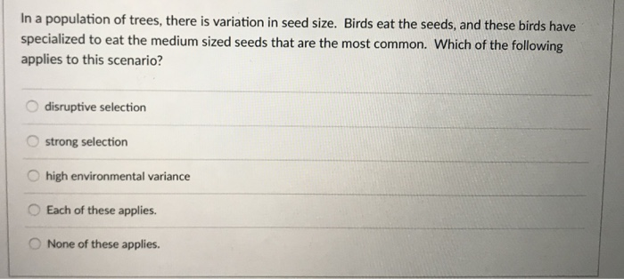 In a population of trees, there is variation in seed size. Birds eat the seeds, and these birds have specialized to eat the medium sized seeds that are the most common. Which of the following applies to this scenario? O disruptive selection O strong selection O high environmental variance O Each of these applies O None of these applies
