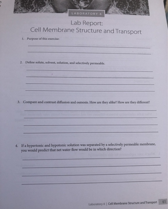 Membrane lab report image