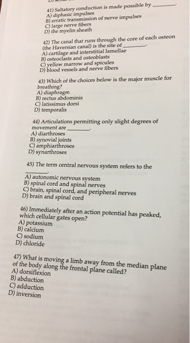 Solved 41) saltatory conduction is made possible by.一 A) | Chegg.com