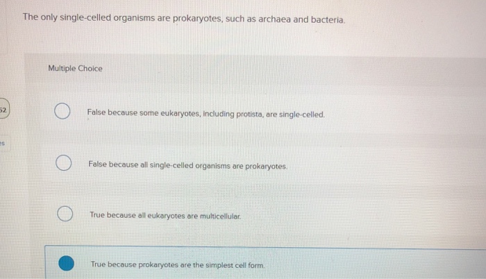 Prokaryotes organisms single are all celled What are