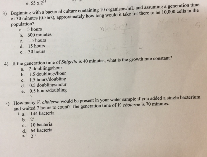 E 55 X 275 Beginning With A Bacterial Culture Chegg Com