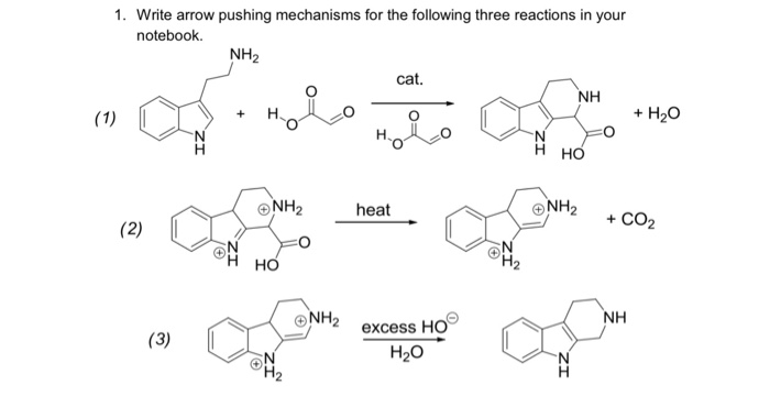 1. Write arrow pushing mechanisms for the following three reactions in your notebook NH2 cat. NH + H20 ONH CO2 heat NH NH2 excess H H2O