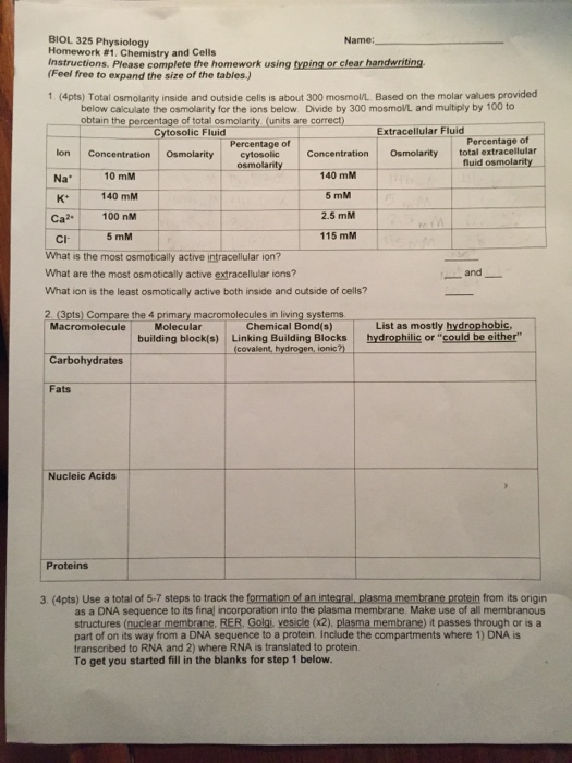 Ions and the periodic table worksheet image