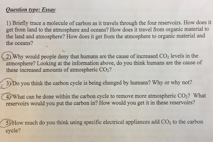 How to answer essay questions pdf image