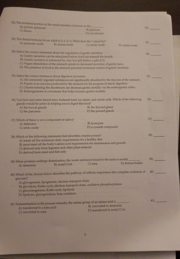 Solved: 32) The Terminal Portion Of The Small Intestine Is ...