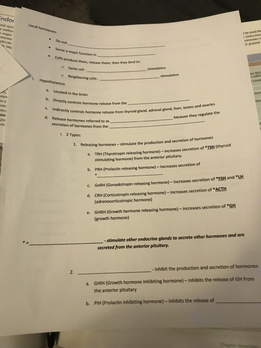 Chapter 9 endocrine system worksheet answer key image