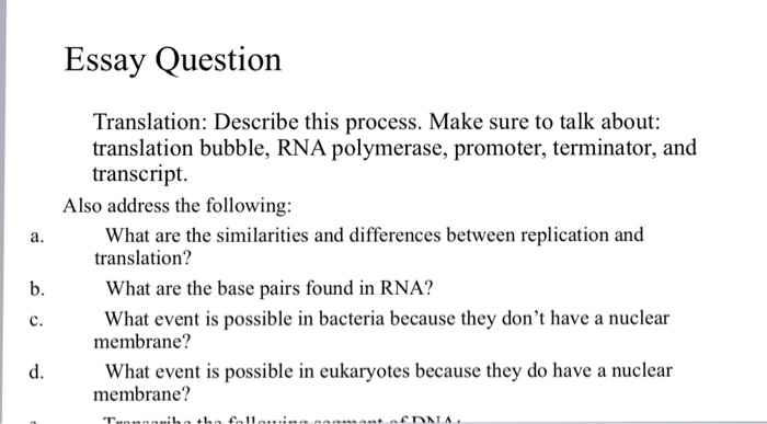 Essay Question Translation: Describe this process. Make sure to talk about: translation bubble, RNA polymerase, promoter, terminator, and transcript. Also address the following: What are the similarities and differences between replication and translation? a. b. What are the base pairs found in RNA? c. Wat event is possible in bacteria because they dont have a nuclear membrane? What event is possible in eukaryotes because they do have a nuclear membrane? d.