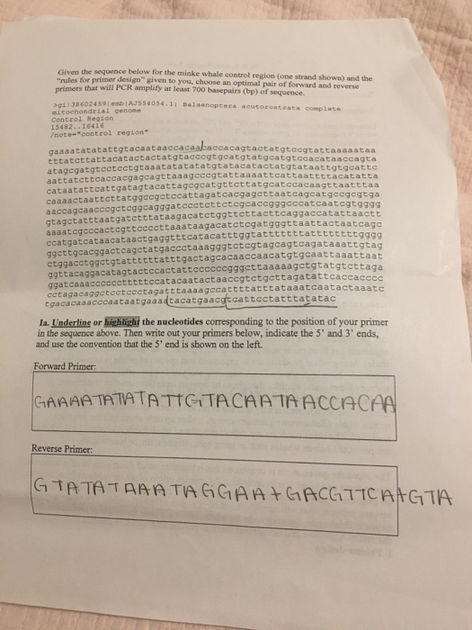 What is needed from the cells for pcr picture