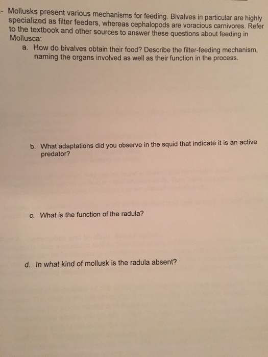 Solved Mollusks Present Various Mechanisms For Feeding B