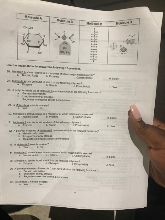 Solved Molecule A Molecule B Molecule C Molecule D CH2OH 