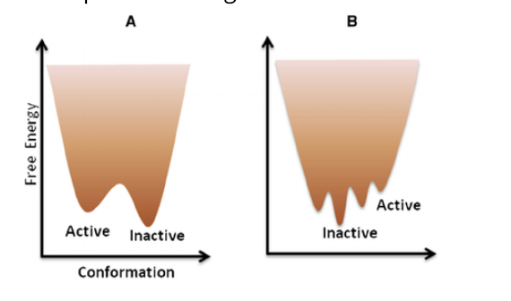 D0 LU Active Active nactive Inactive Conformation