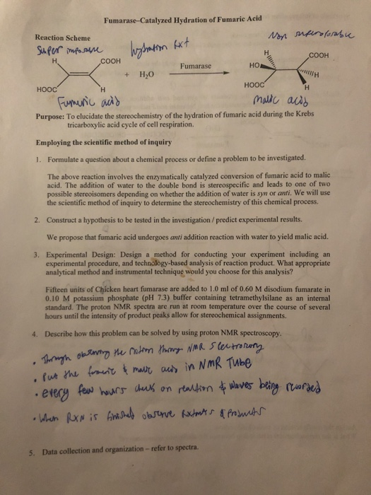 Fumarase Catalyzed Hydration Of Fumarie Acid React