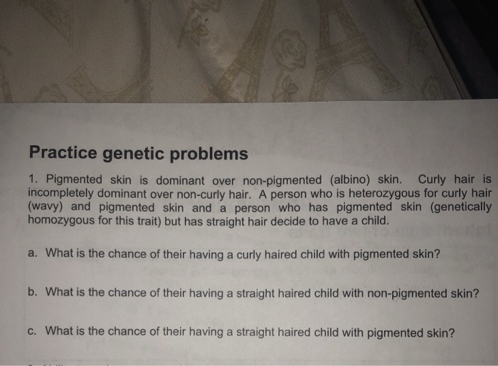 Solved Practice Genetic Problems 1 Pigmented Skin Is Dom