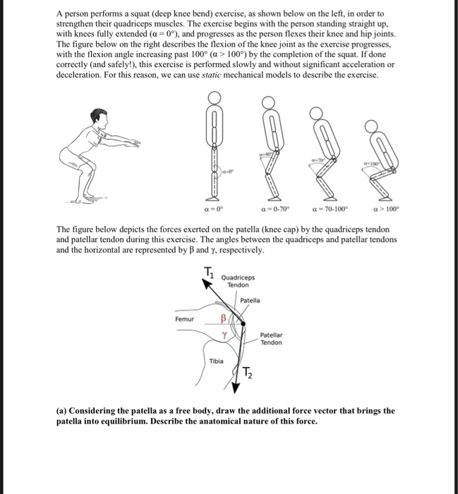 left patella