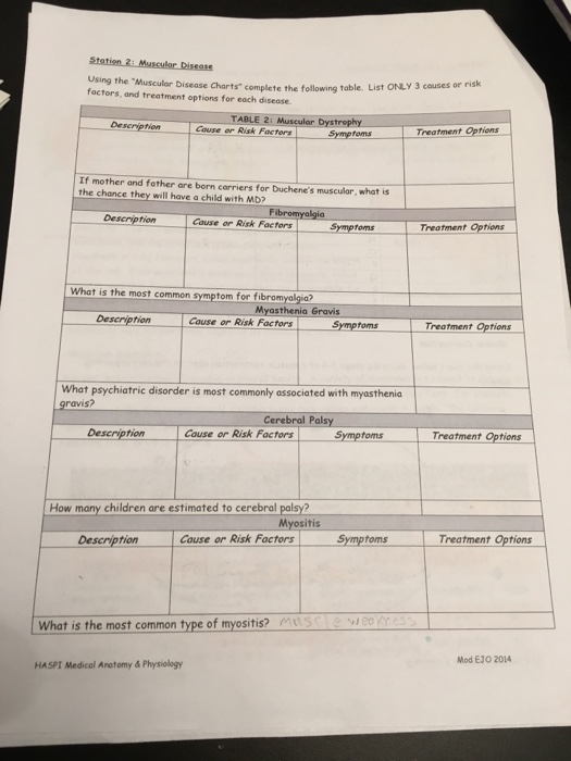 Muscular system questions and answers pdf picture