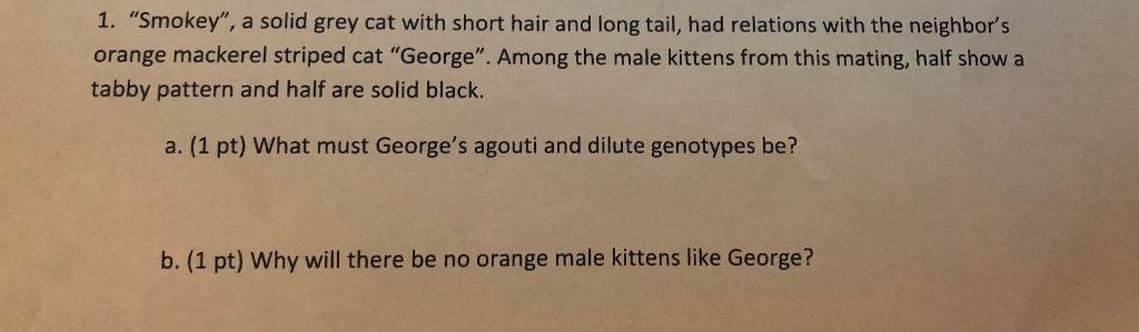 Solved 1 Smokey A Solid Grey Cat With Short Hair And