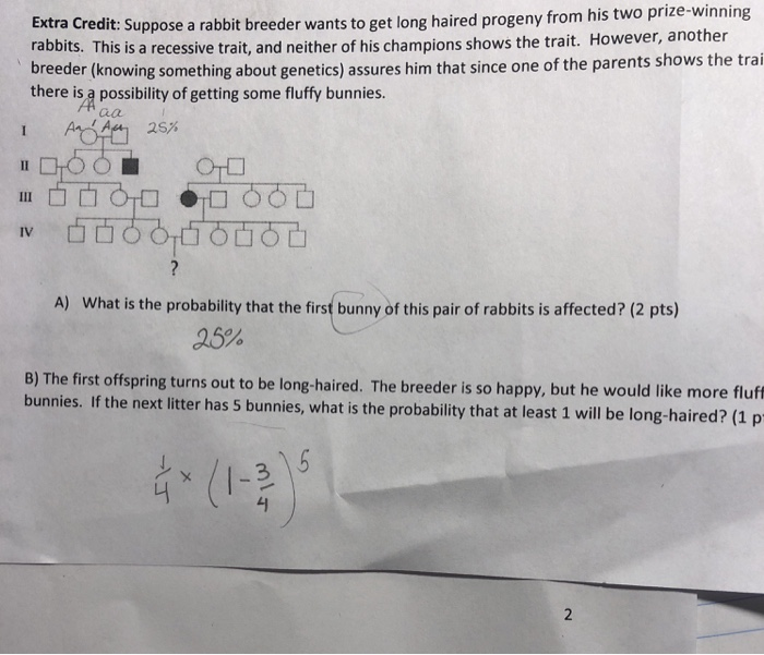 Solved Extra Credit Suppose A Rabbit Breeder Wants To Ge